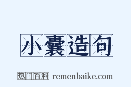 小囊造句是什么意思的图片
